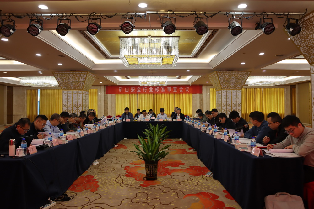 矿山所召开三项矿山安全行业标准审查会议 照片_2_调整大小.jpg